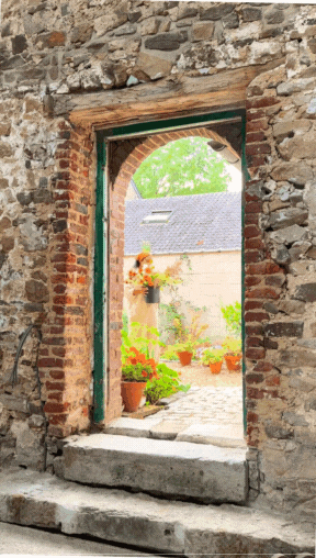 Natalia Carrying a plant through an arched doorway.