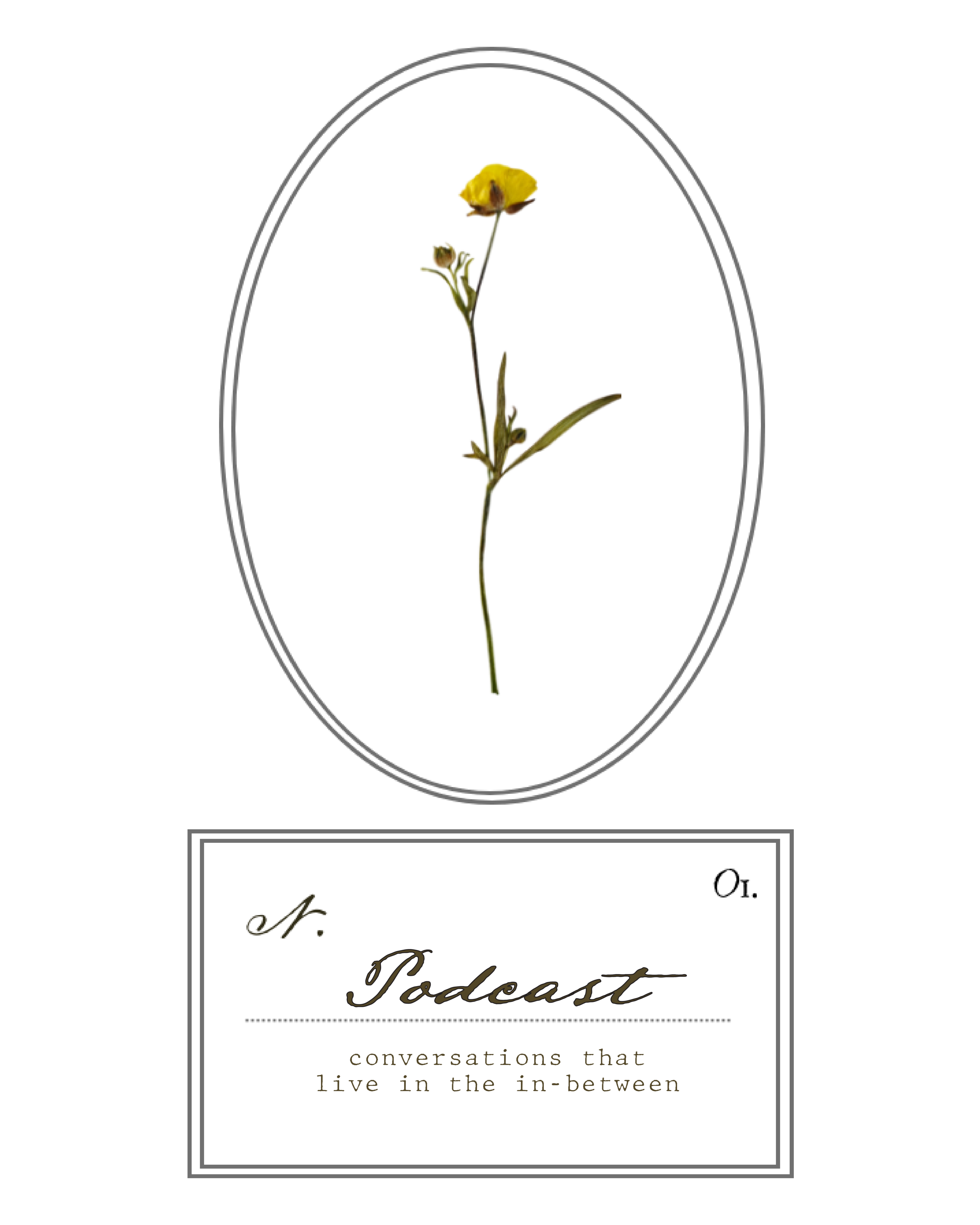 Intuitively Wild resources illustration