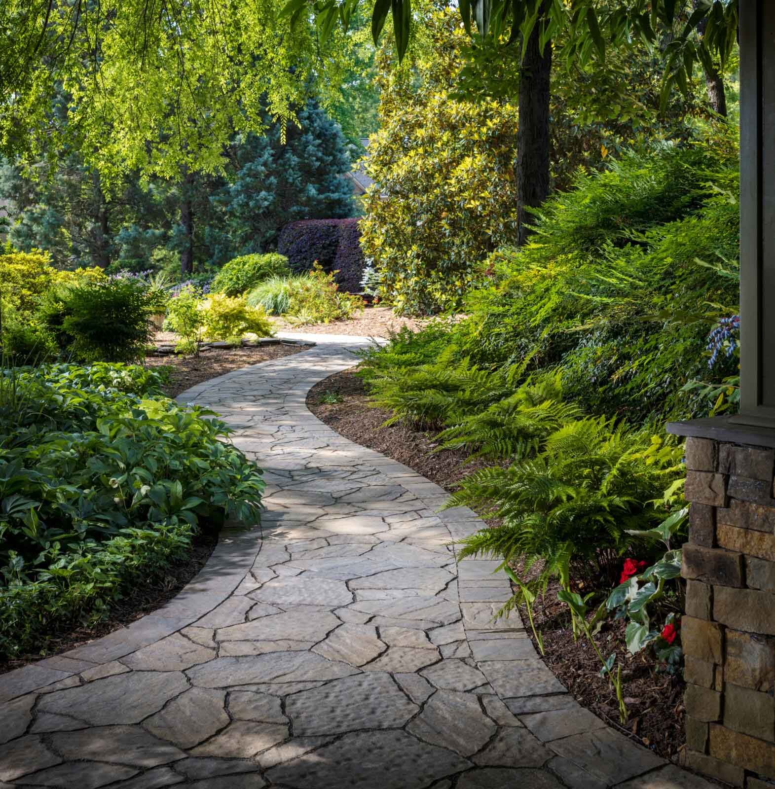 Extended Pathway