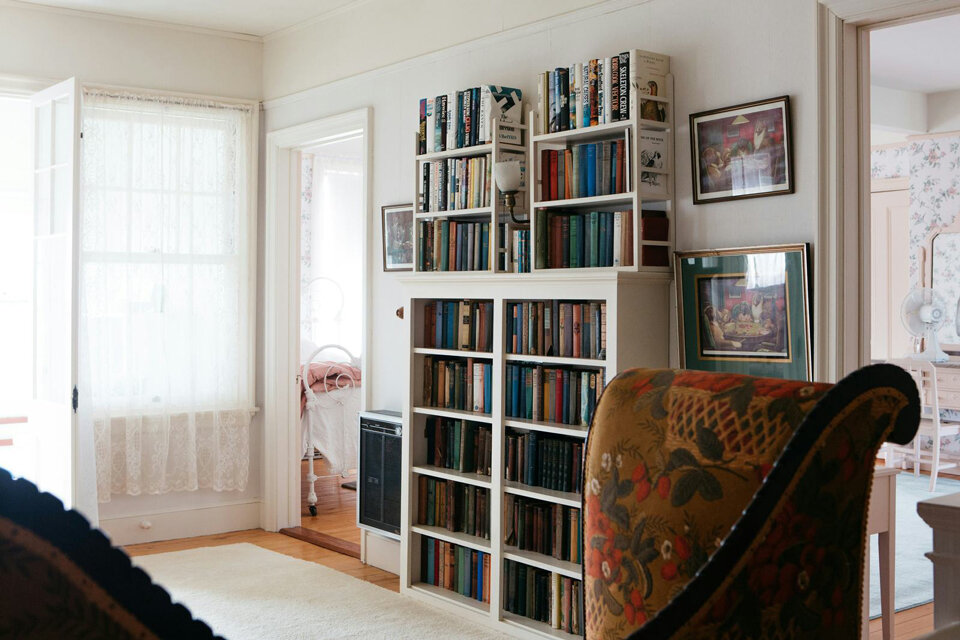 bookshelves in cozy room