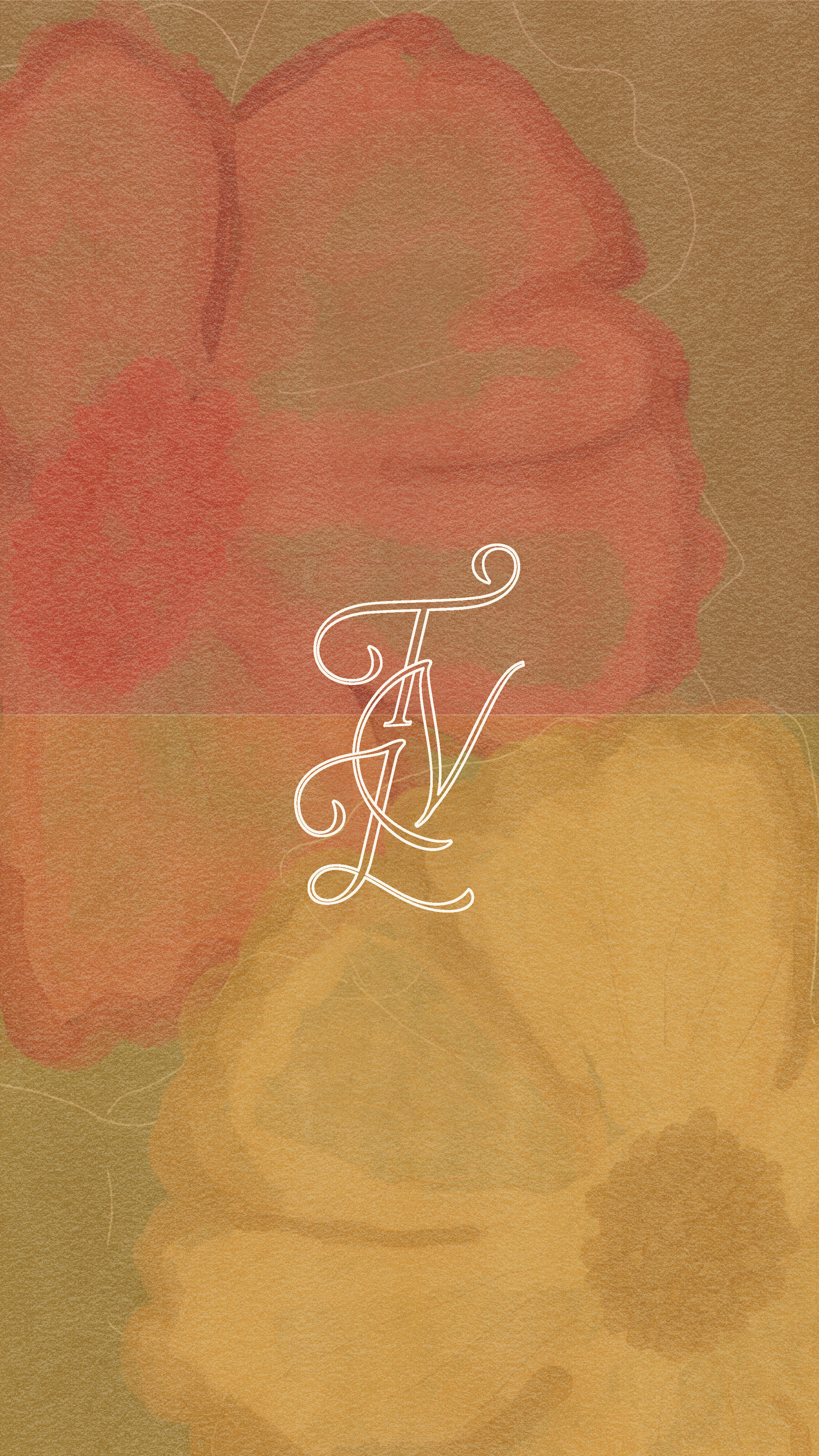portfolio-image-8