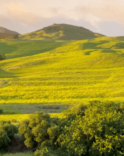 Scenic view of Laelae Mountain on Hawaii Island during golden hour