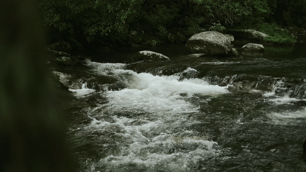 Creek GIF taken in Tennessee