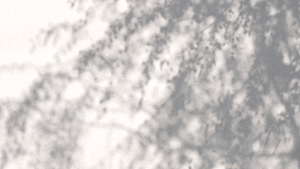 production_id_42384731080p-ezgif.com-optimize