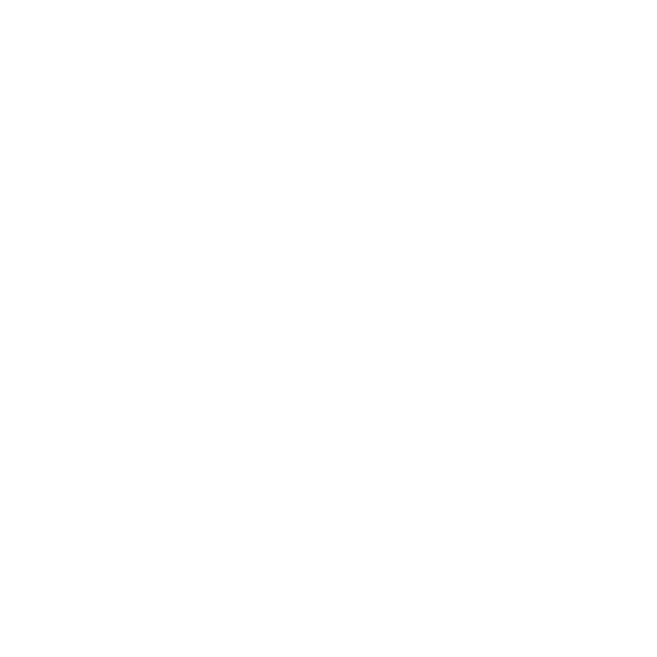 NAH Logo