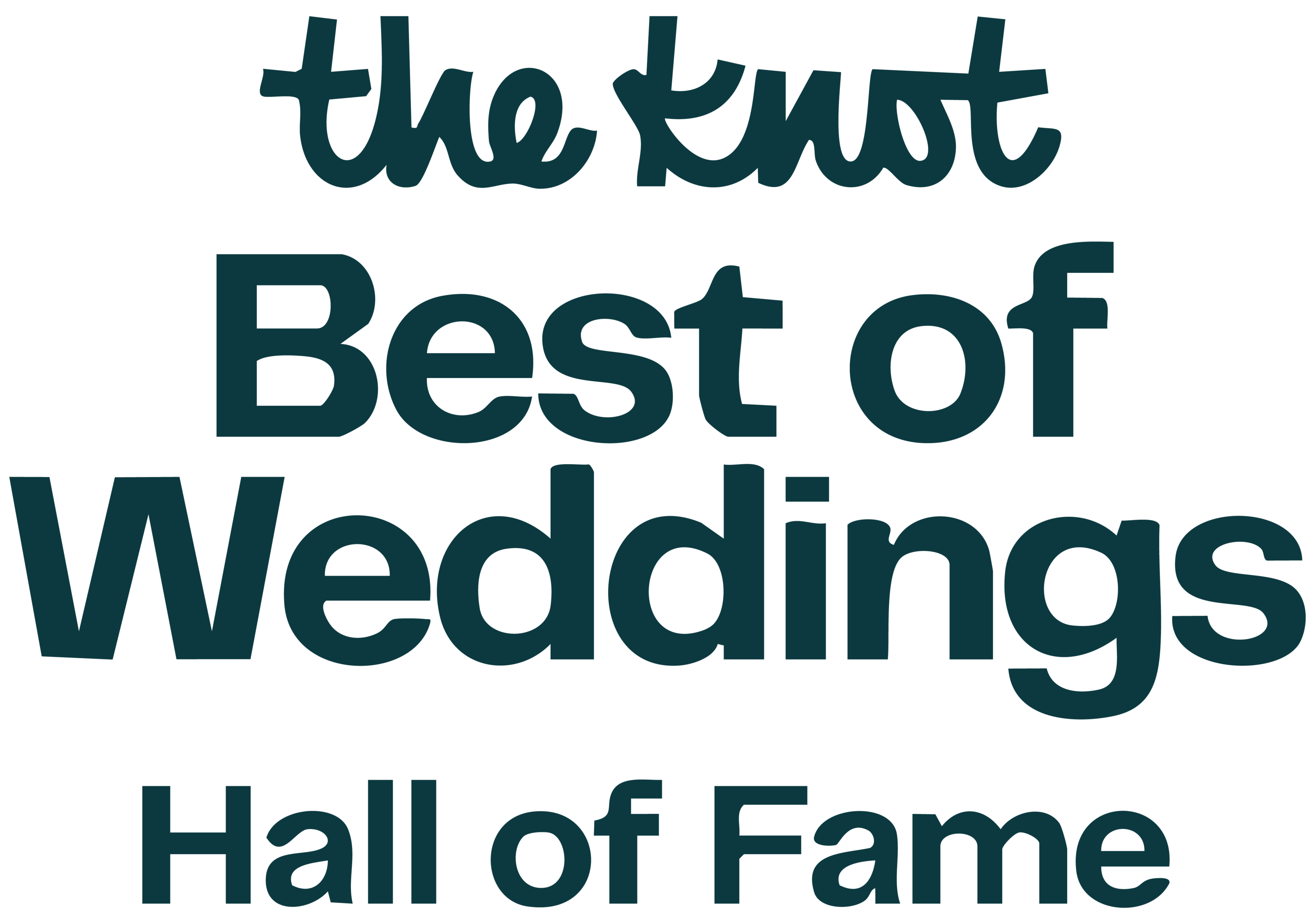 theknotbestofweddingshalloffamelogo