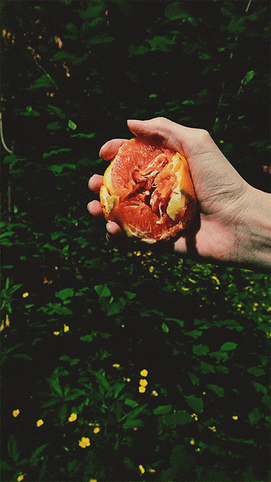 GIF of hand squeezing juice from orange in front of vibrant green foliage.