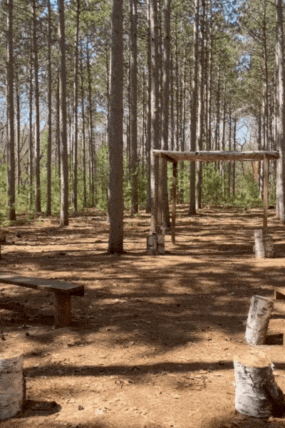 wooded wedding venue wisconsin