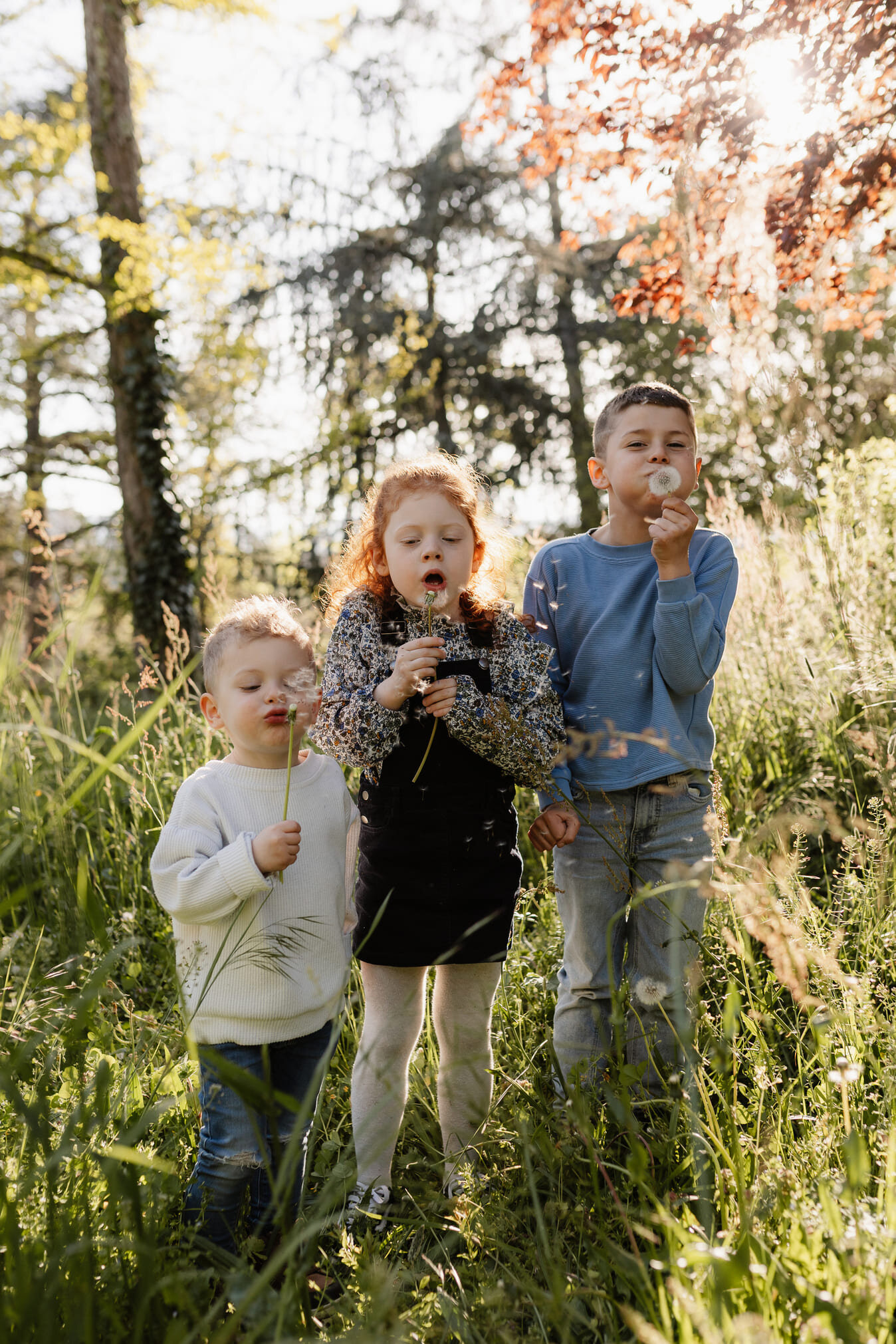 famille dans les bois