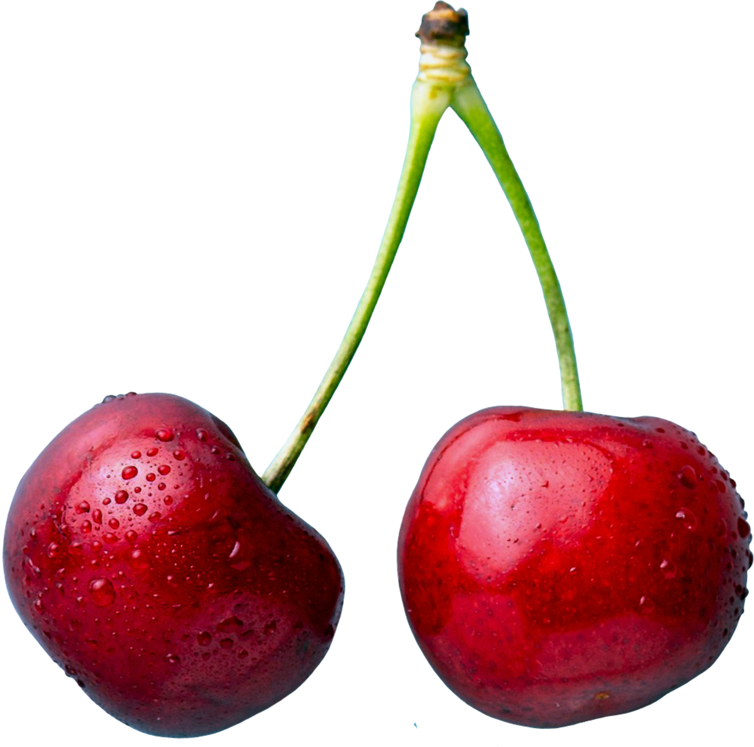 cherry-cutout-for-showit-one-page-website-cherry-guapa-studios-joyce