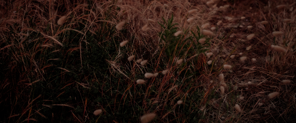 GIF-7