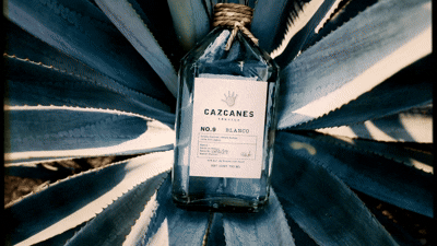 HERO VIDEO Cazcanes - _Unconquerable Spirit_ (4)