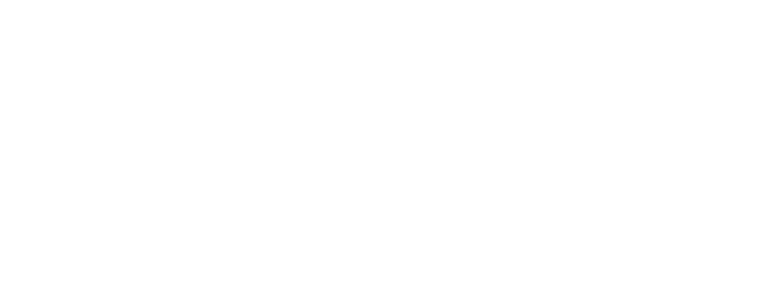 Logo 9
