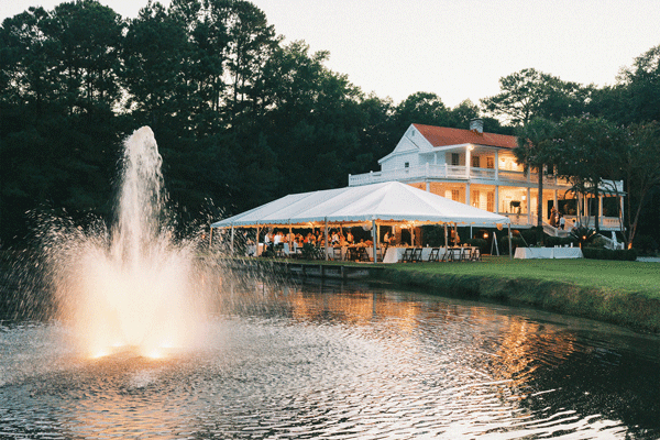 wedding photographer reviews