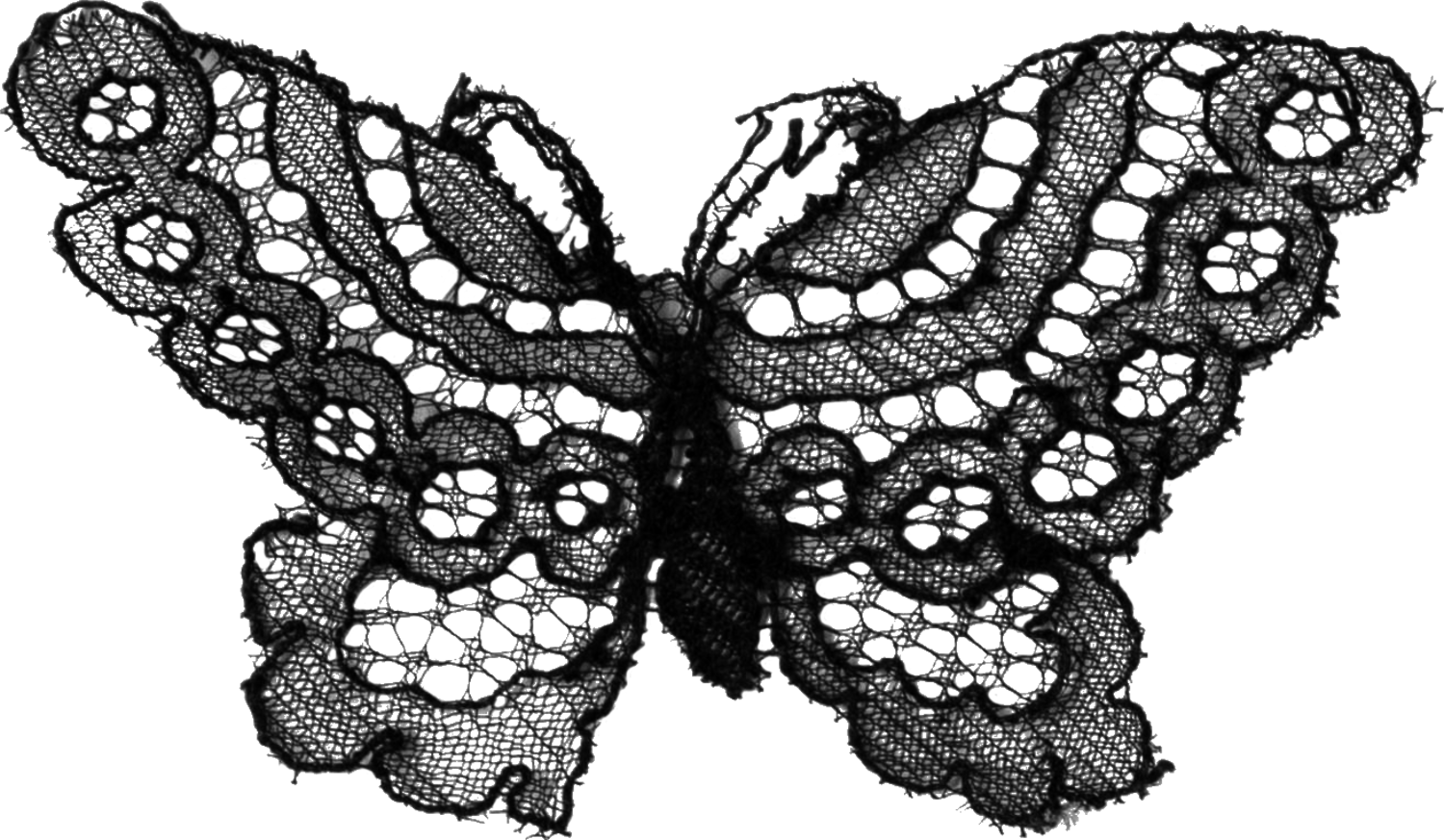 lace-butterfly-for-showit-one-page-website-cherry-guapa-studios