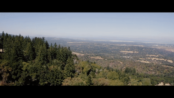 White Elm Films National Wedding Videography Video Team Seattle San Francisco Santa Barbara Los Angeles Miami Chicago Dallas Austin Baltimore Philadelphia New York Boston
