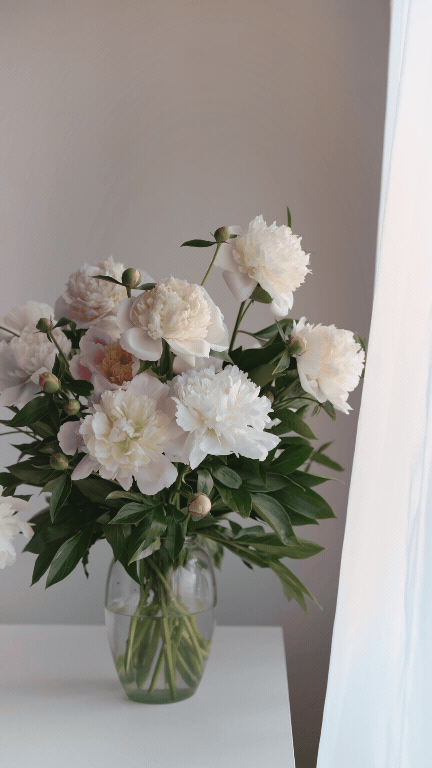 flowers and drapes