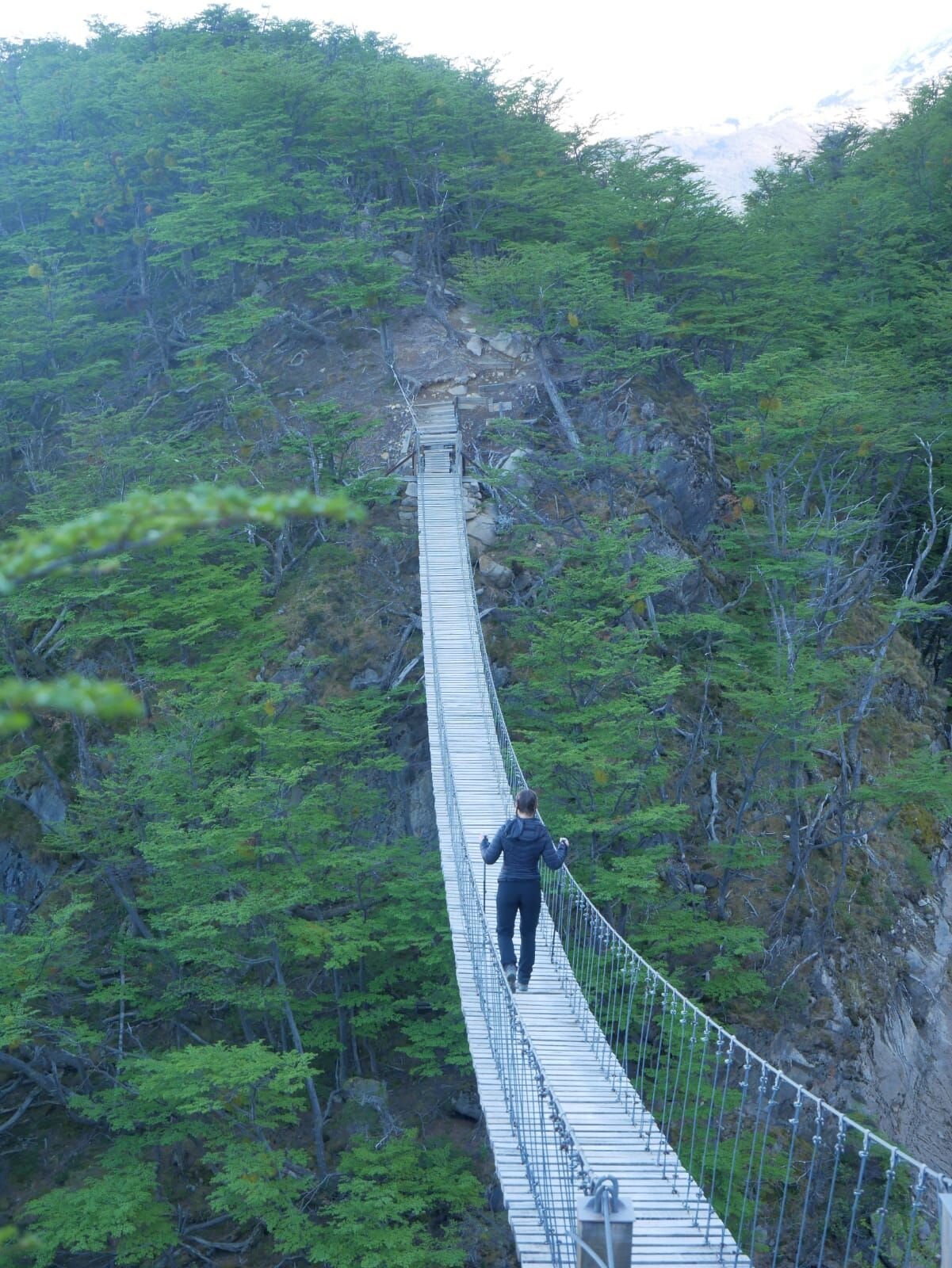 bridge