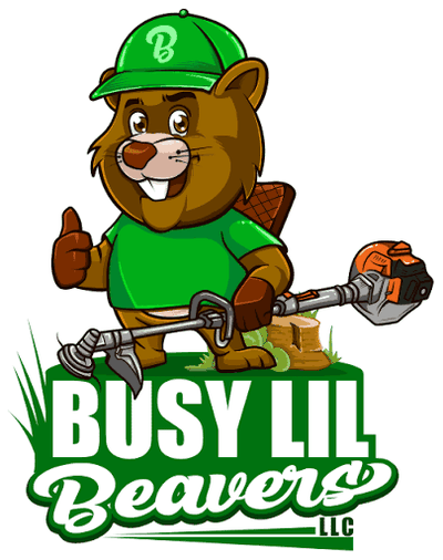 Busy Lil Beavers logo