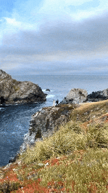 California Elopement Photographer
