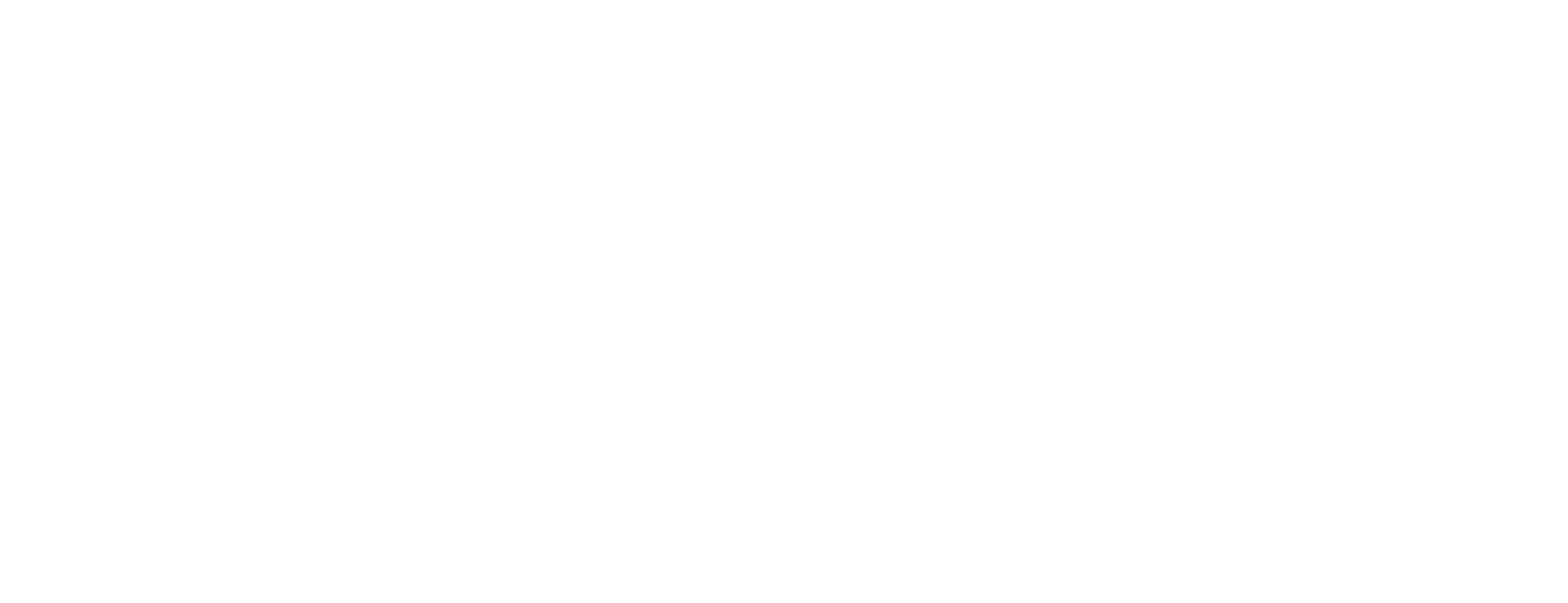 VM Ware Logo