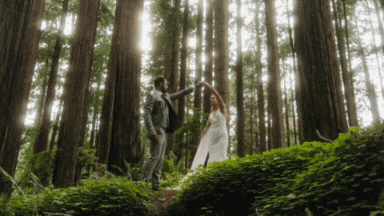 bride and groom dancing in the redwoods