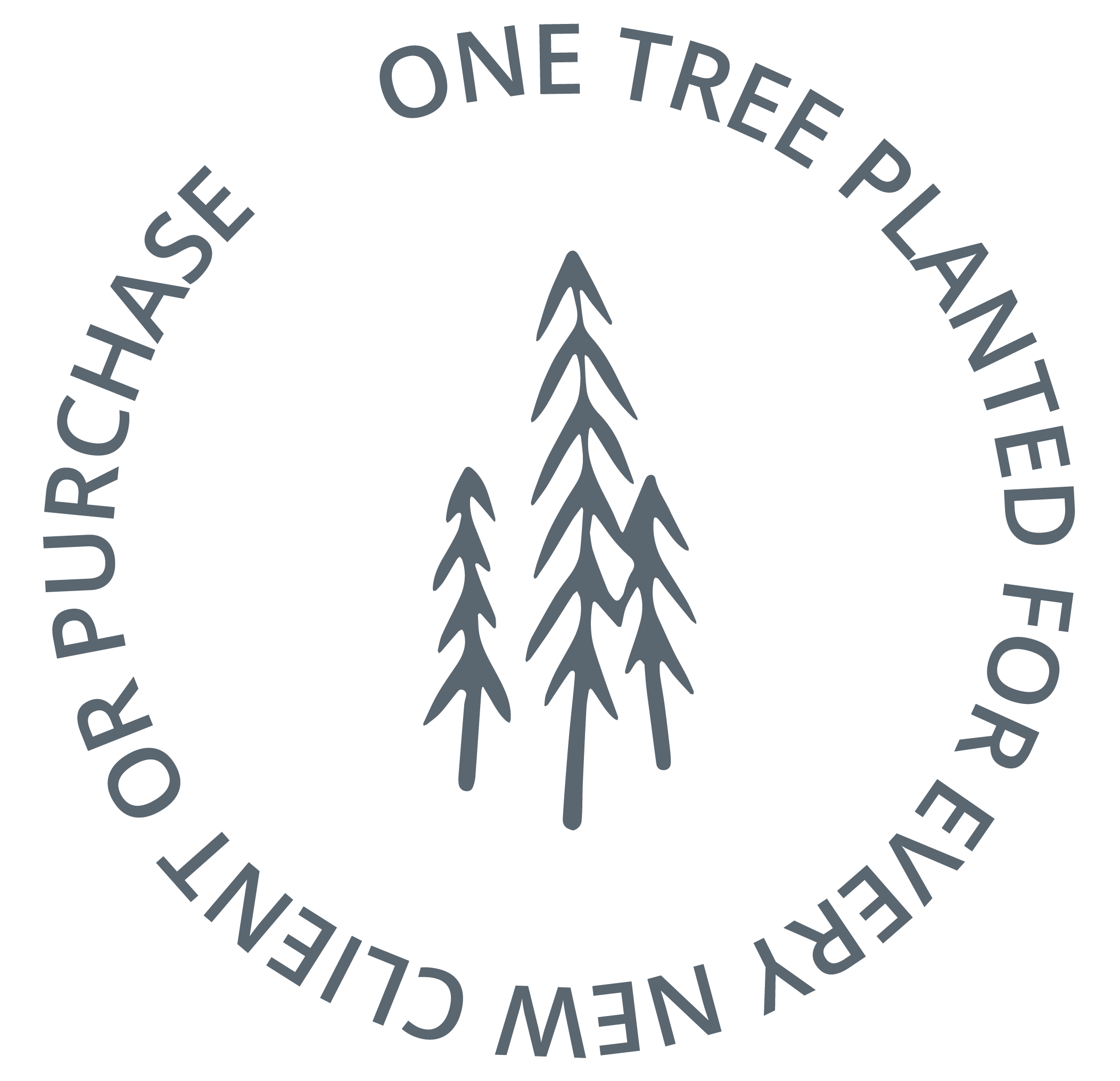 One_Tree_Planted_Sunday_Avenue