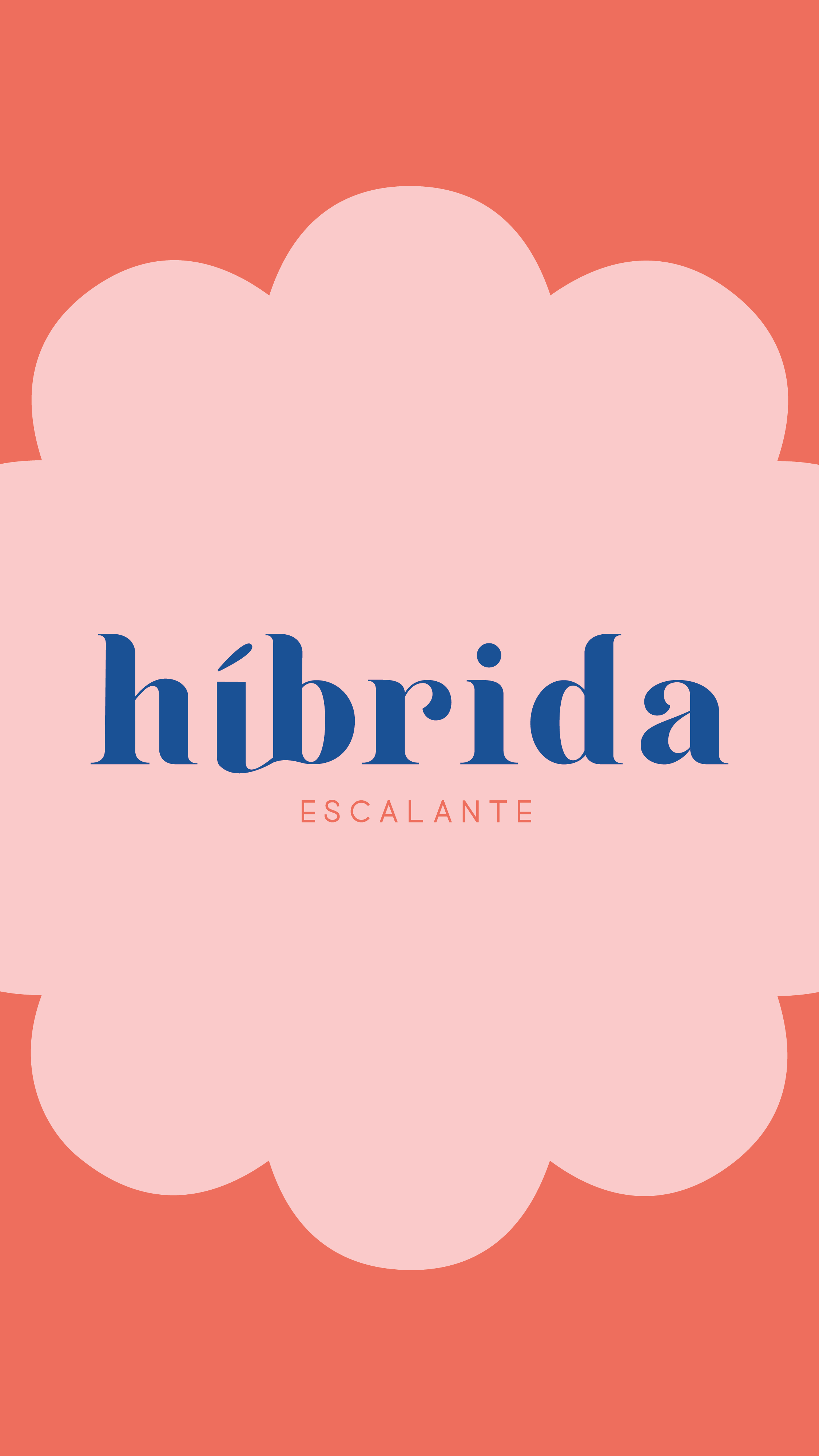 Hibrida-Rebranding01