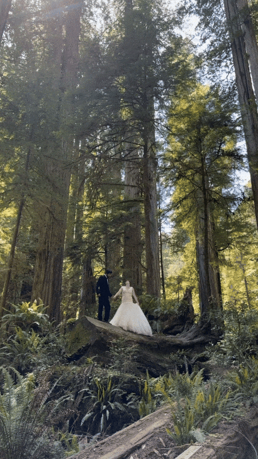 Redwoods Elopement Photographer