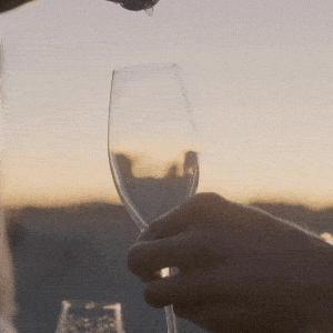 celebrating after you fix your website
