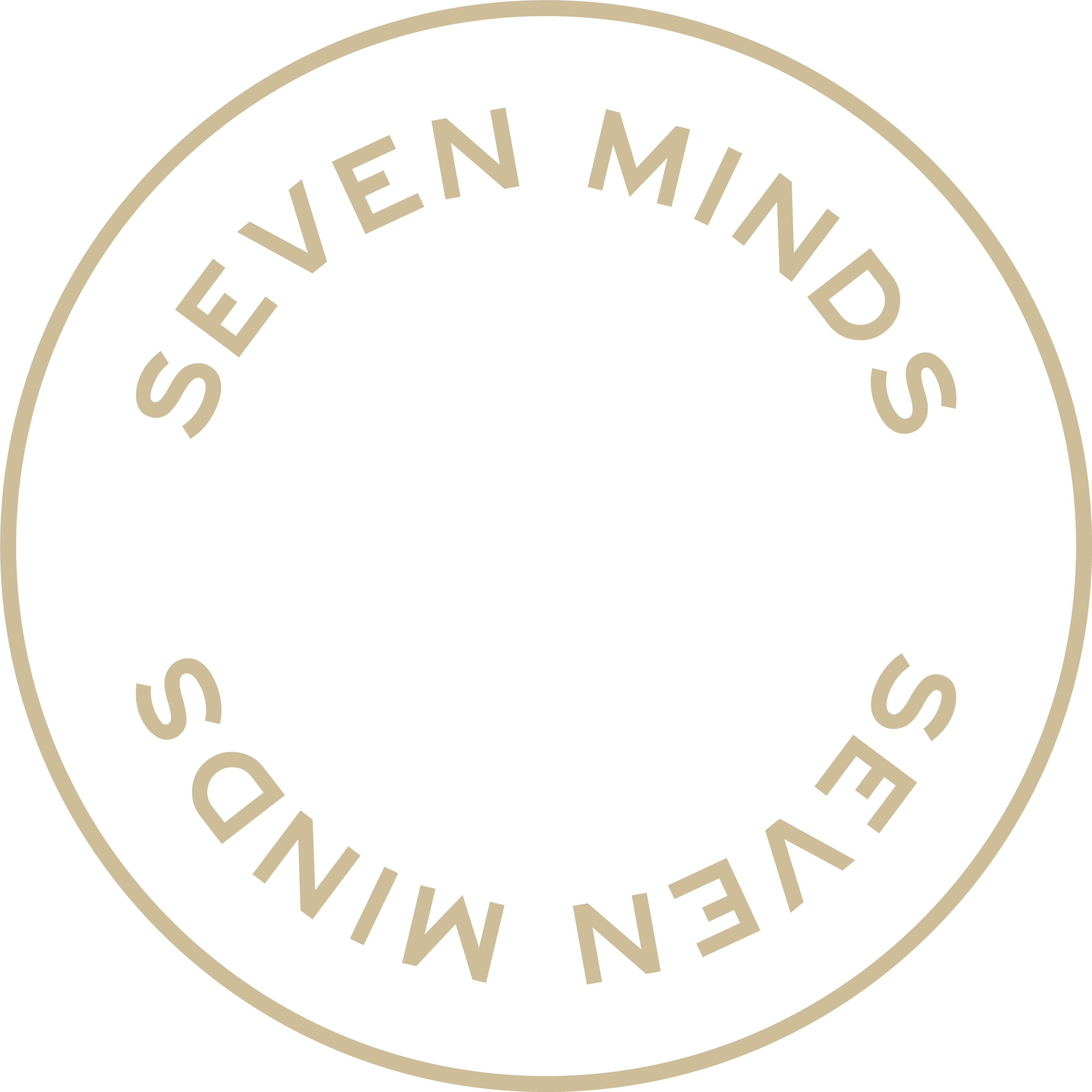 Spinning Image