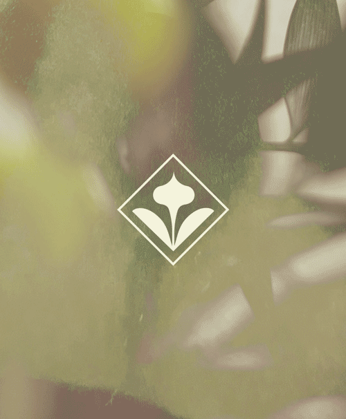 custom brand logo design for Emma Wolno at Perennial Content Repurposing Studio by Gem Creative Co.