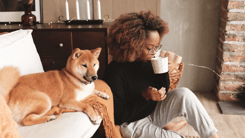 Relax and unwind while you get your new website in a day!