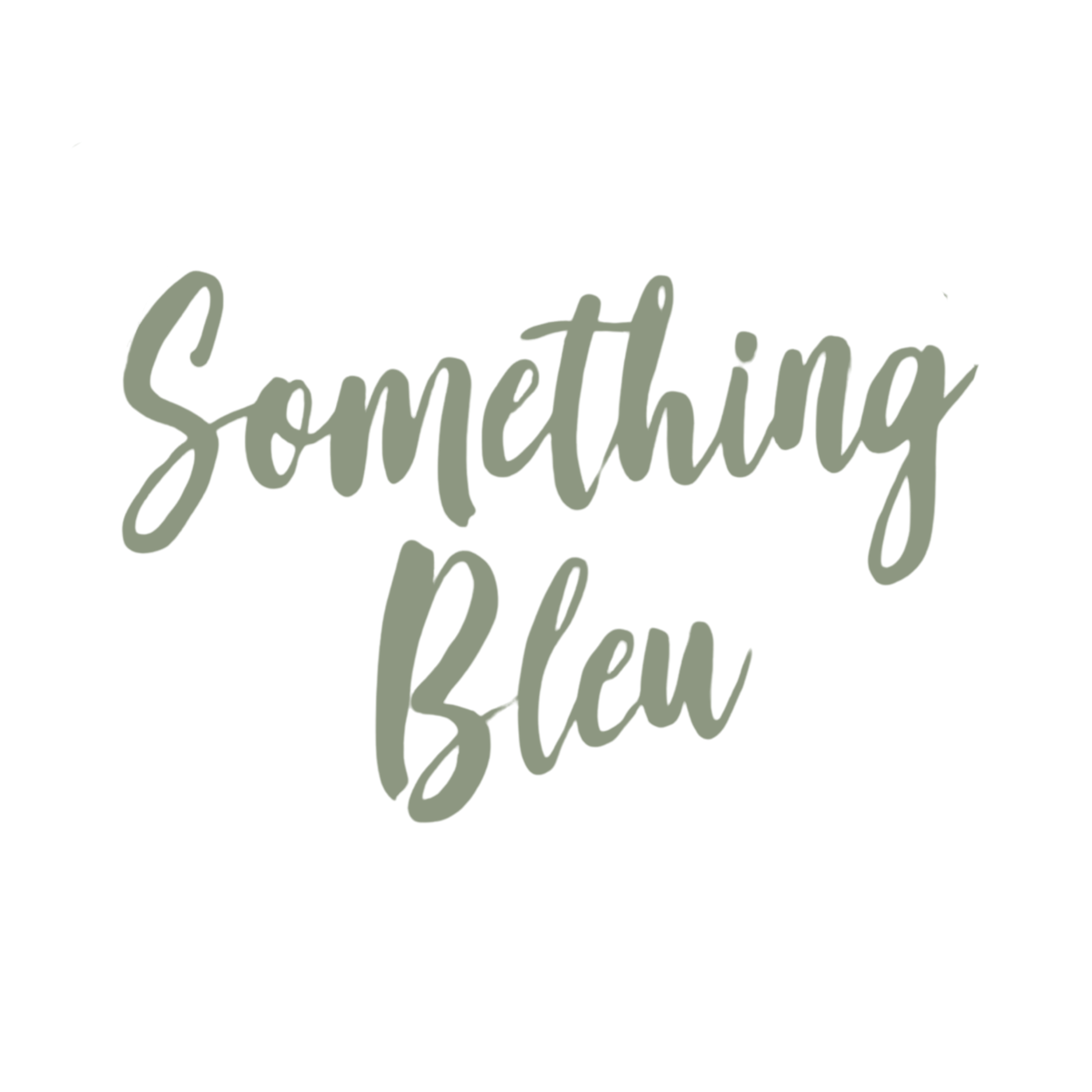 something_bleu_logo