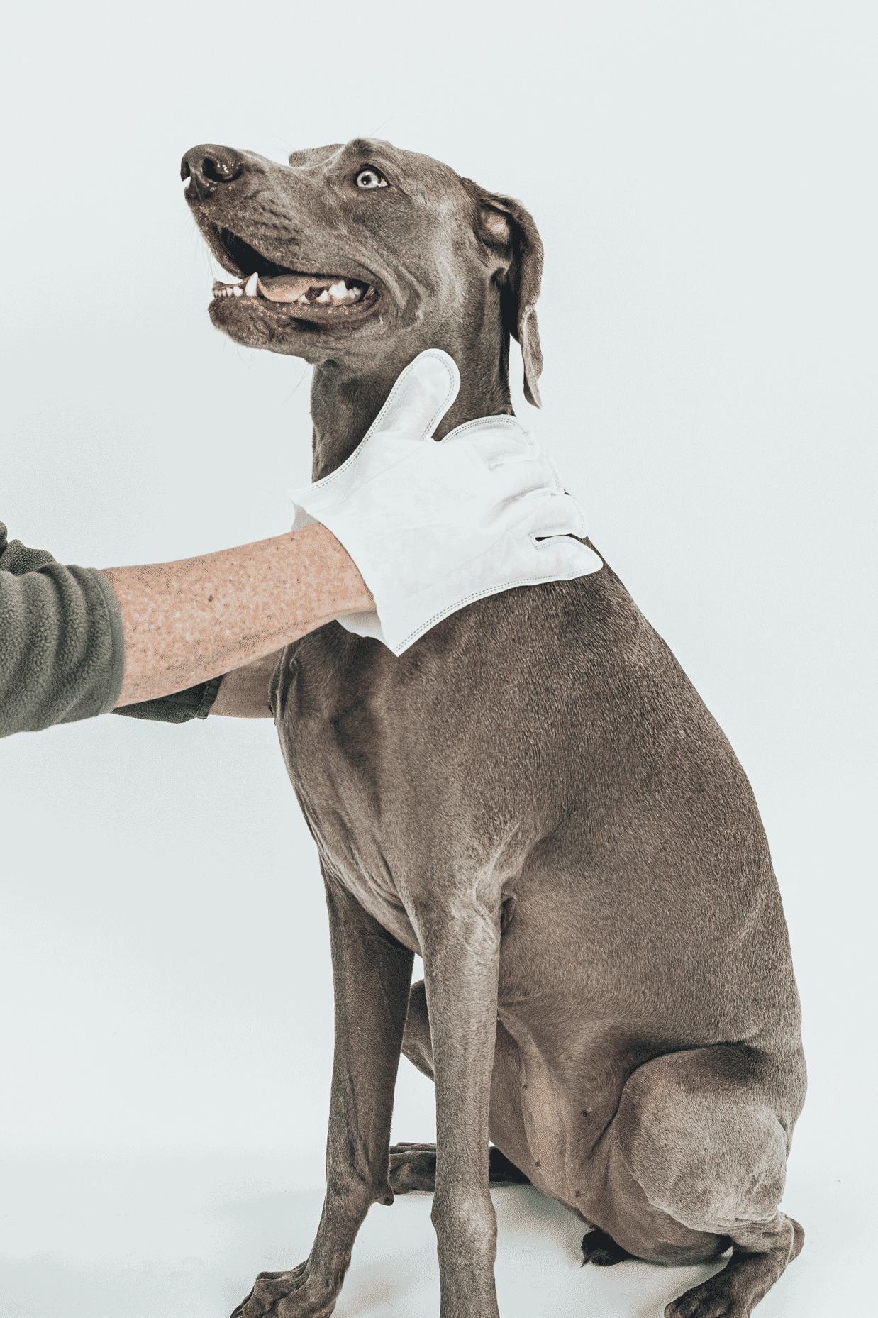 hicc_weim_15