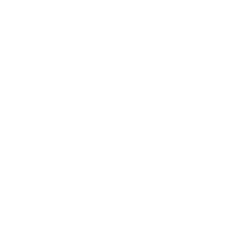 Scandinazn Logo