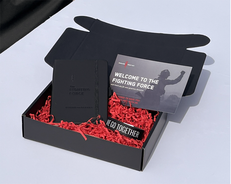 The Fighting Force Image