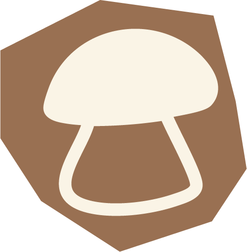 Katie Bunton Low Tox Lifestyle Tips