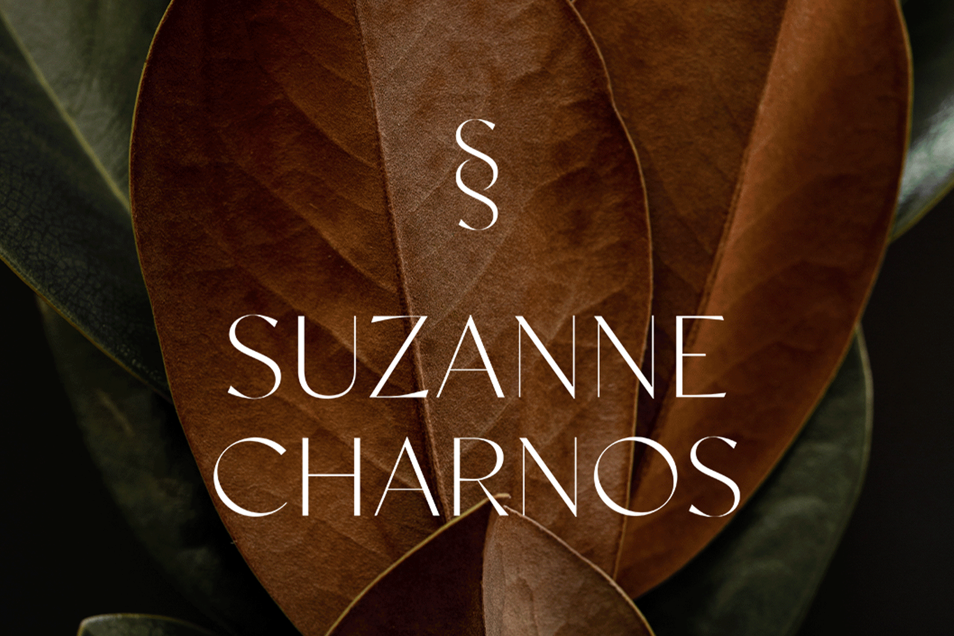 View Suzanne Charnos project