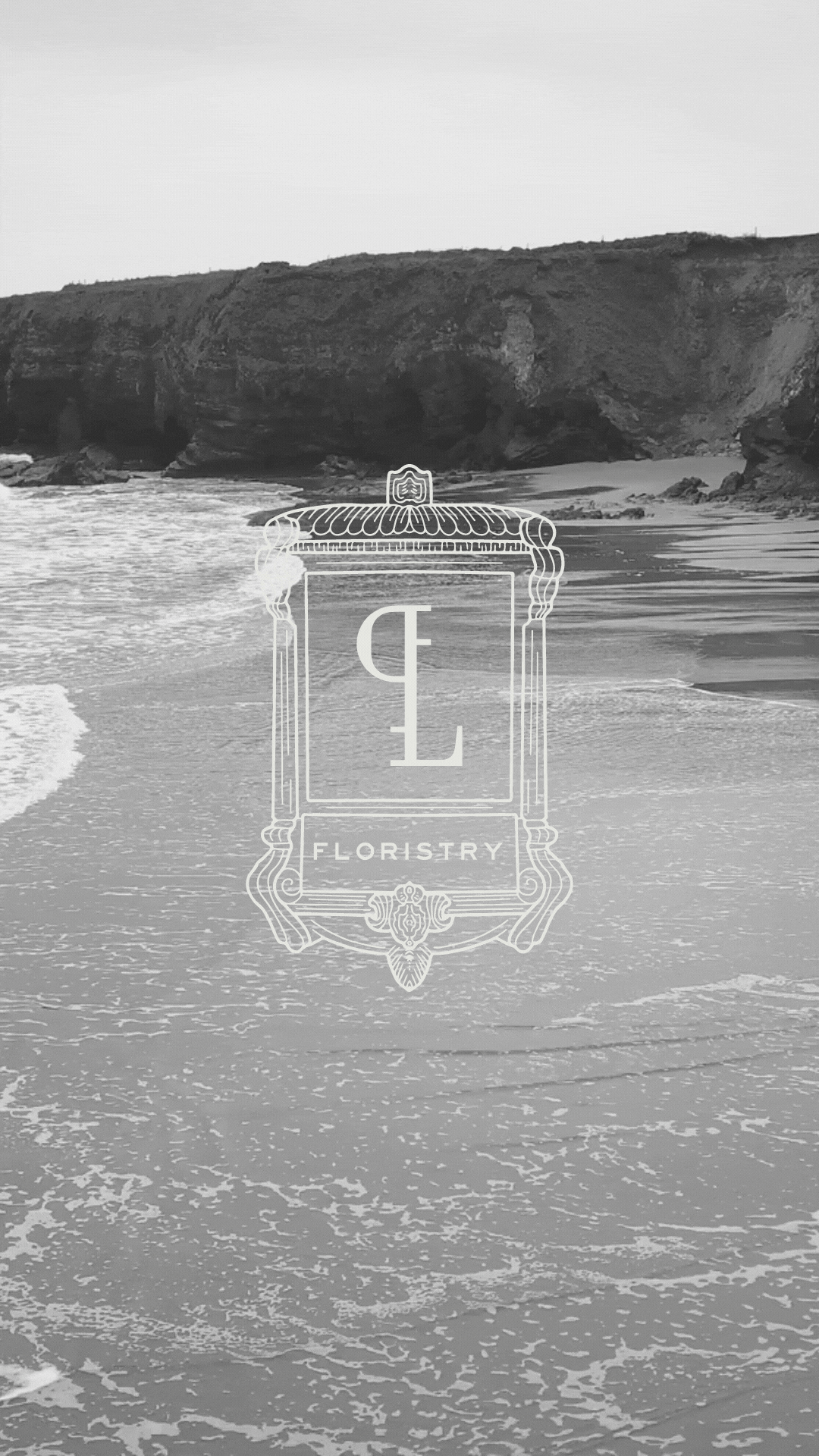 black and white image cliffside beach  with poppy love logo overlay