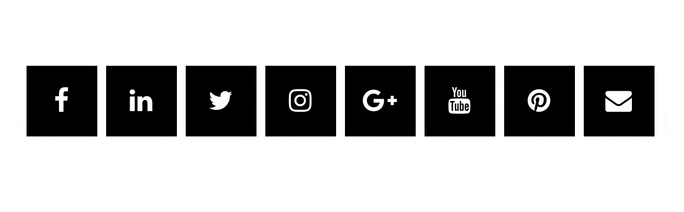 Social Icons Style 2