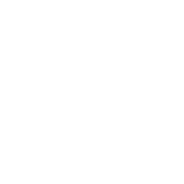 Inc 500