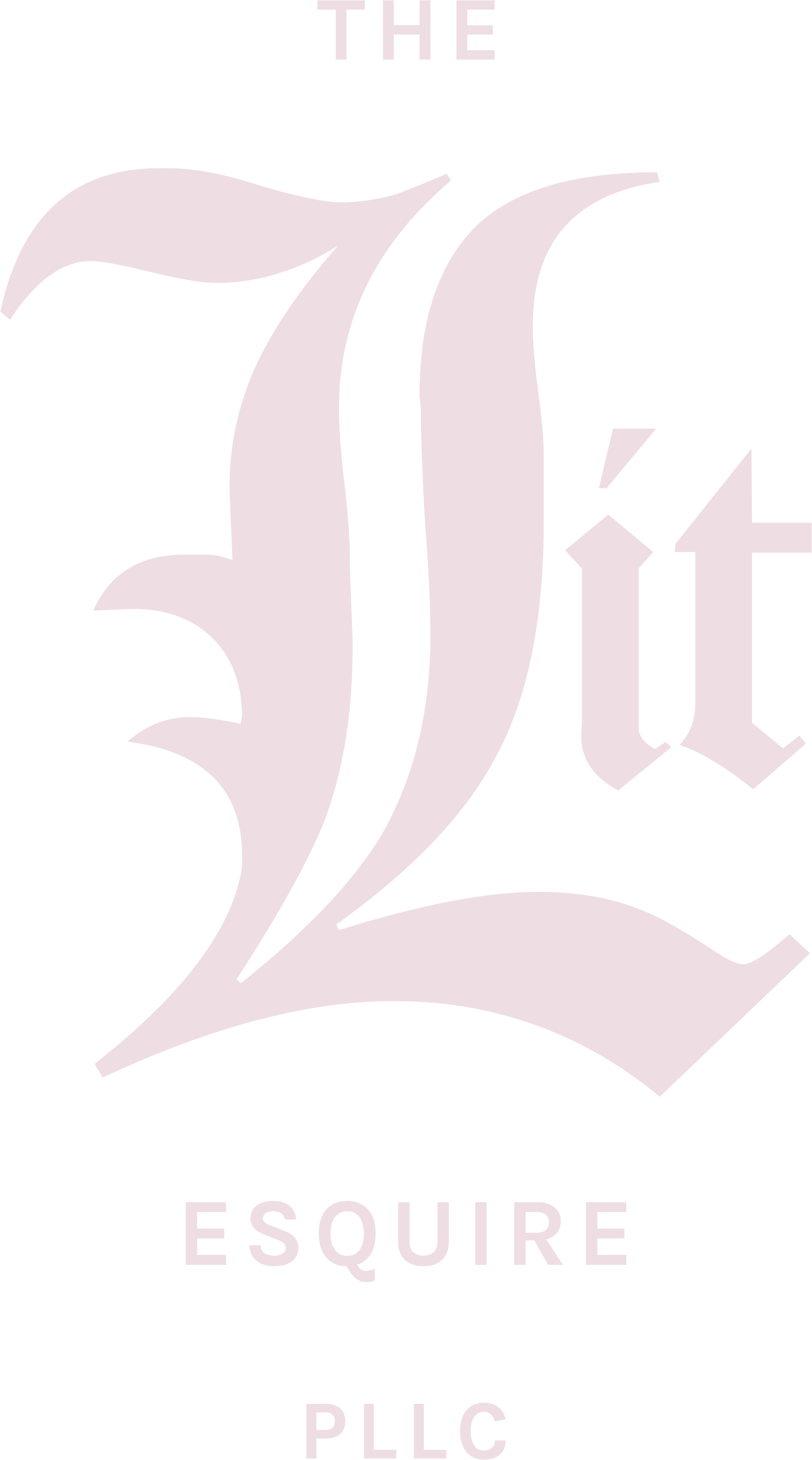 The Lit Esquire Logo in GIF format flashing between hot pink and white
