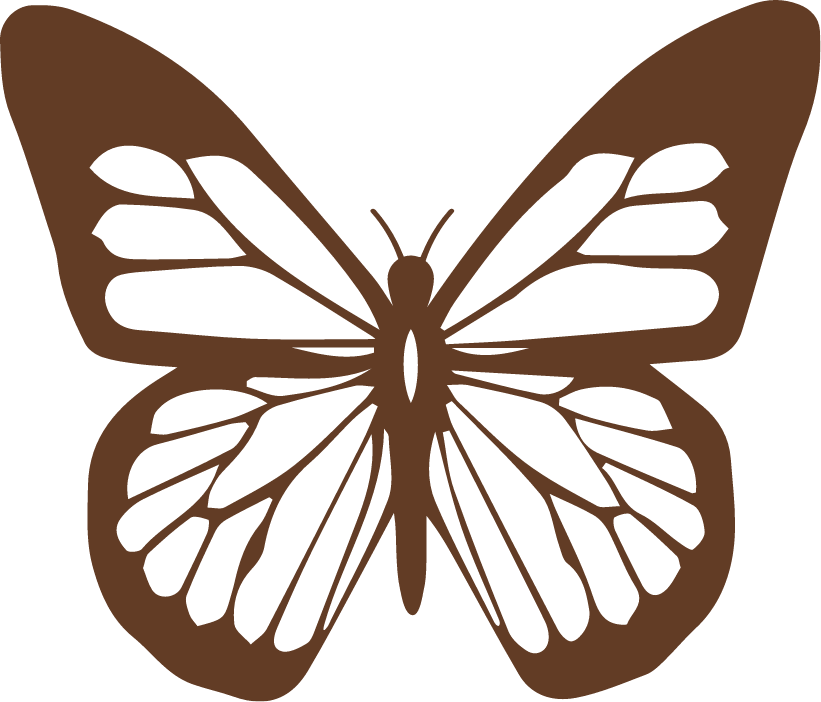 BrownButterfly_Rotating Image