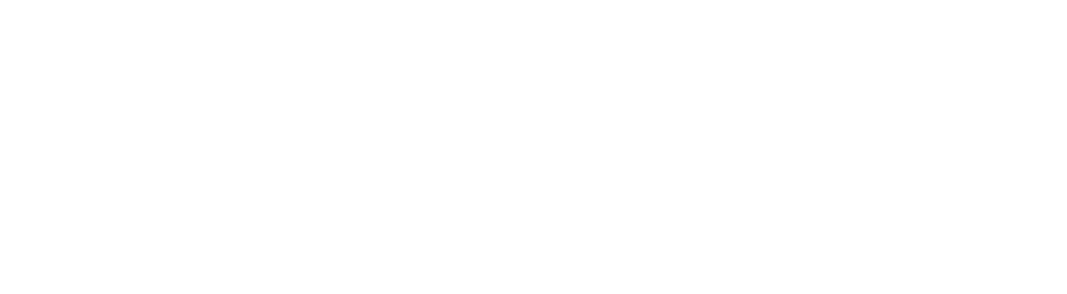 logo 11