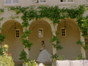 Los Angeles California Super 8 Videographer