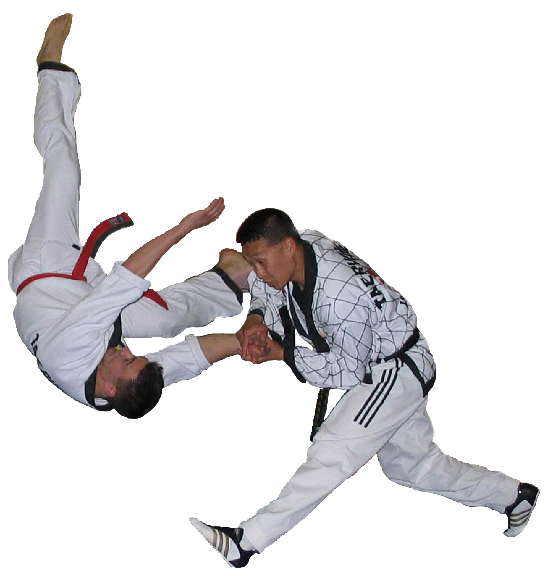 karate winnipeg
