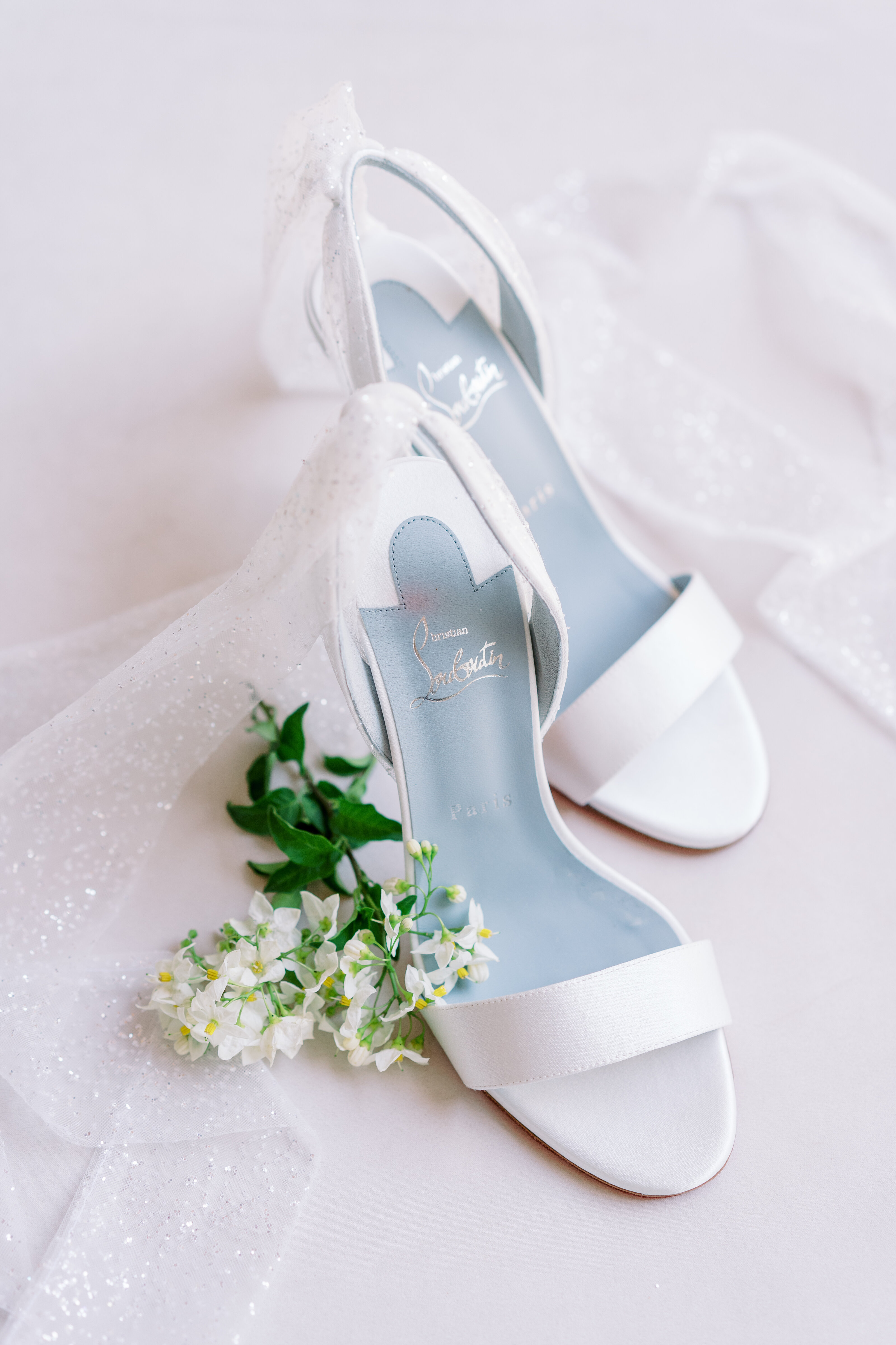 a luxury brand of wedding shoes called louboutin
