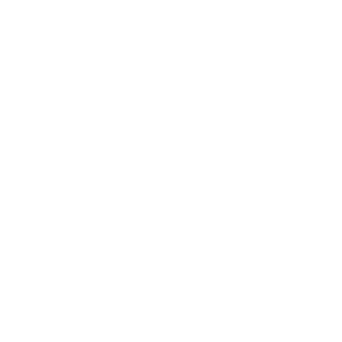 Path and Focus logo