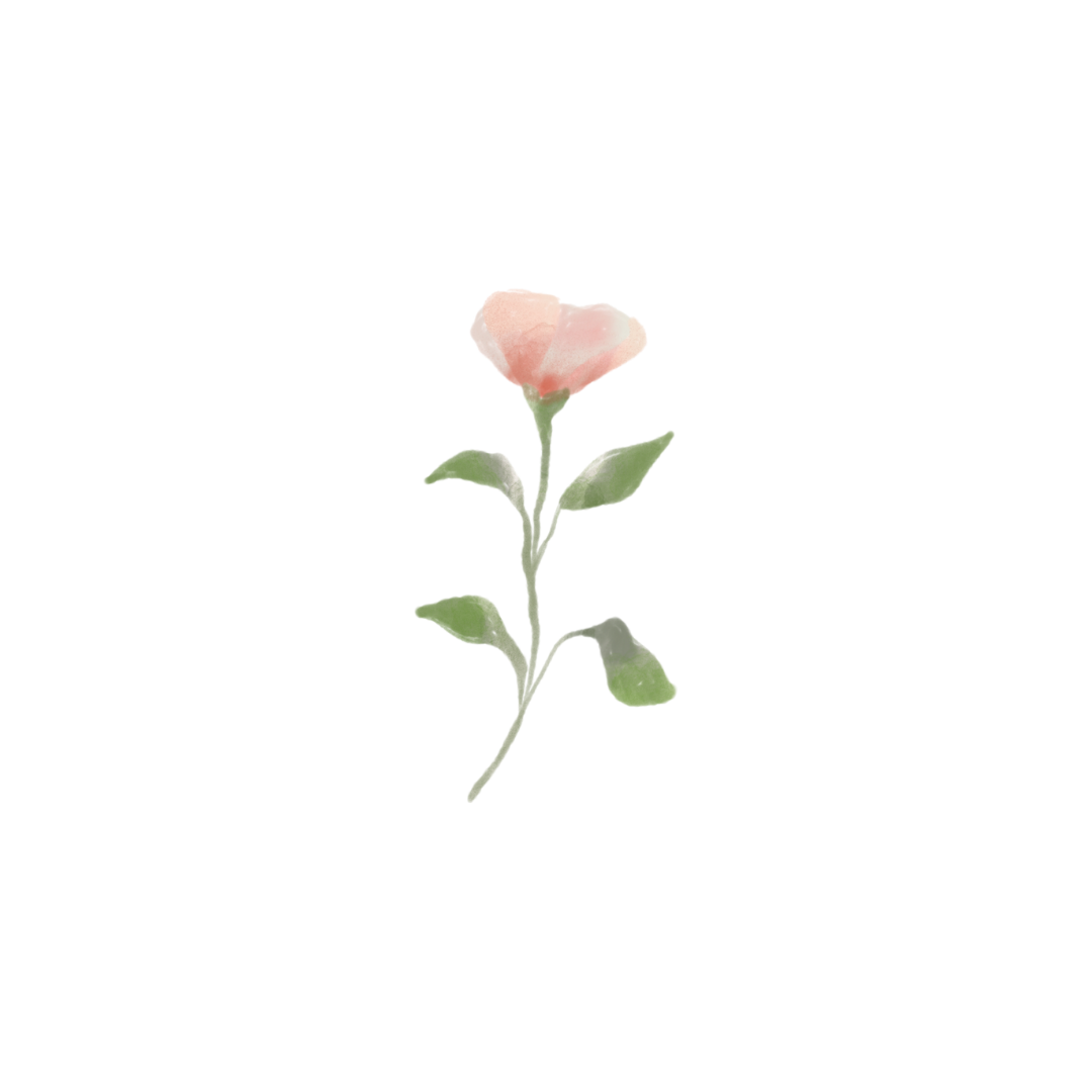 Description 2